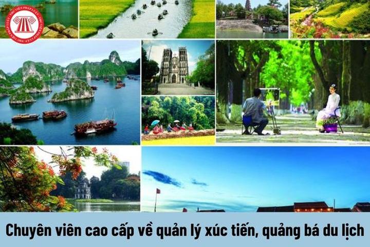 Xu hướng Cảnh tượng lạ tại tuyến phố ở: Hotspot Matrix tiết lộ bí quyết video viral