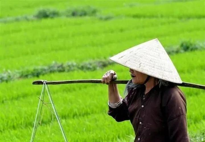 Xu hướng Diễn biến bầu cử Tổng thống: Hotspot Matrix tiết lộ bí quyết video viral